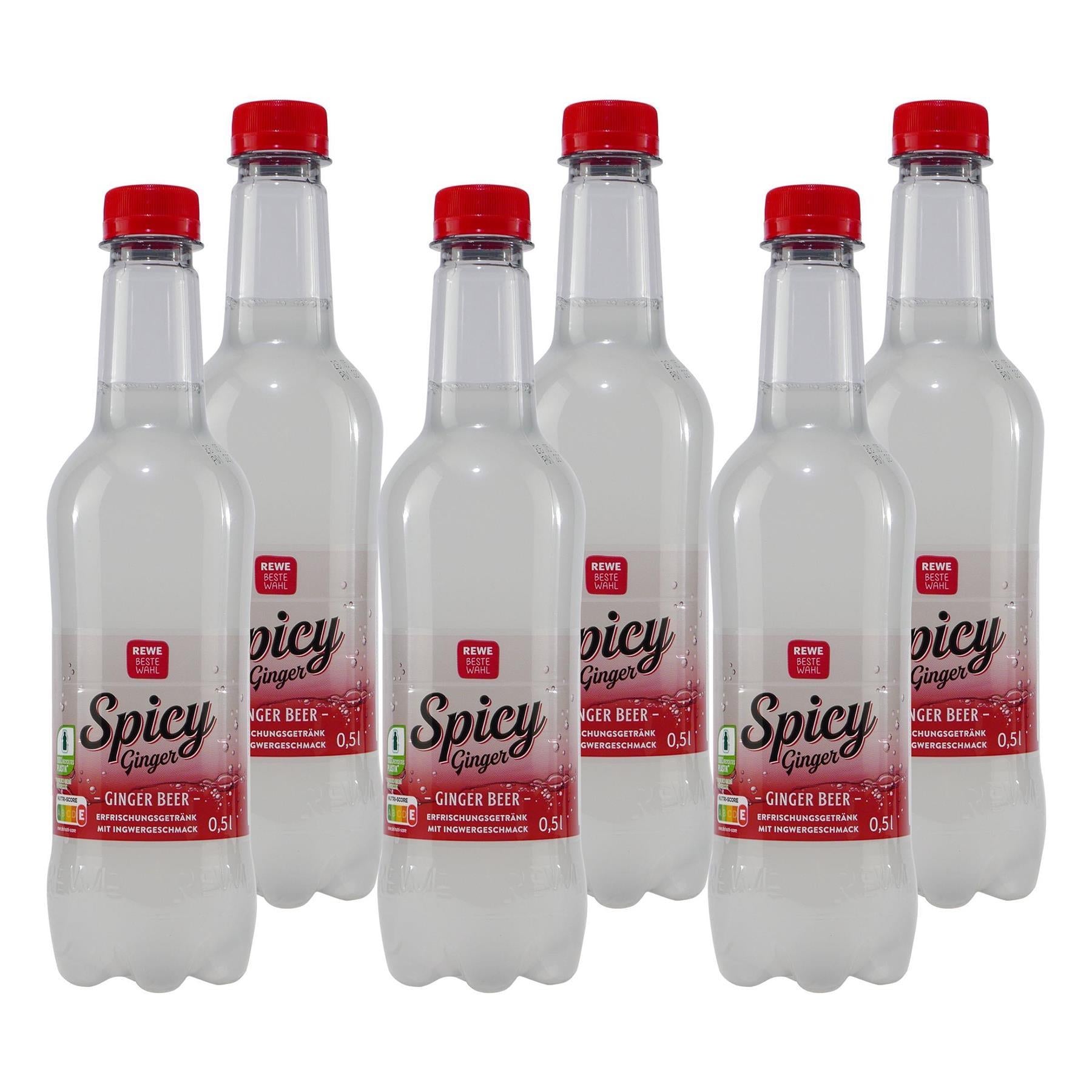 Beste Wahl Spicy Ginger Getränk (6 x 0,5L)