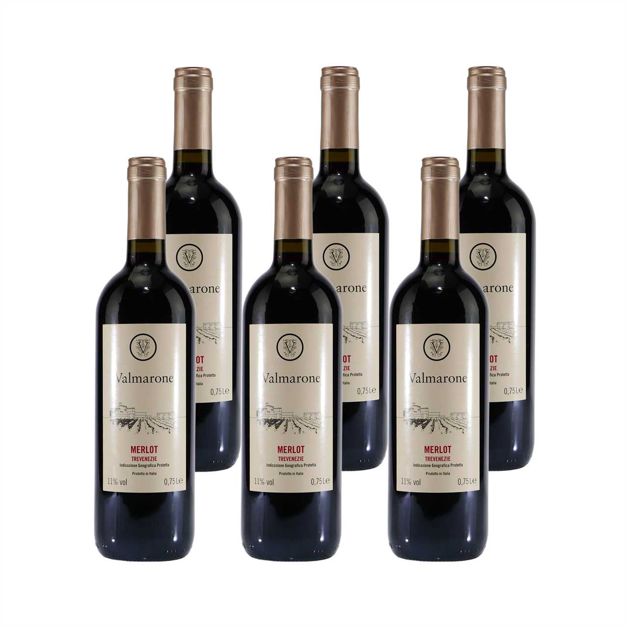 Valmarone Merlot IGP Italienischer Rotwein (6 x 0,75L)
