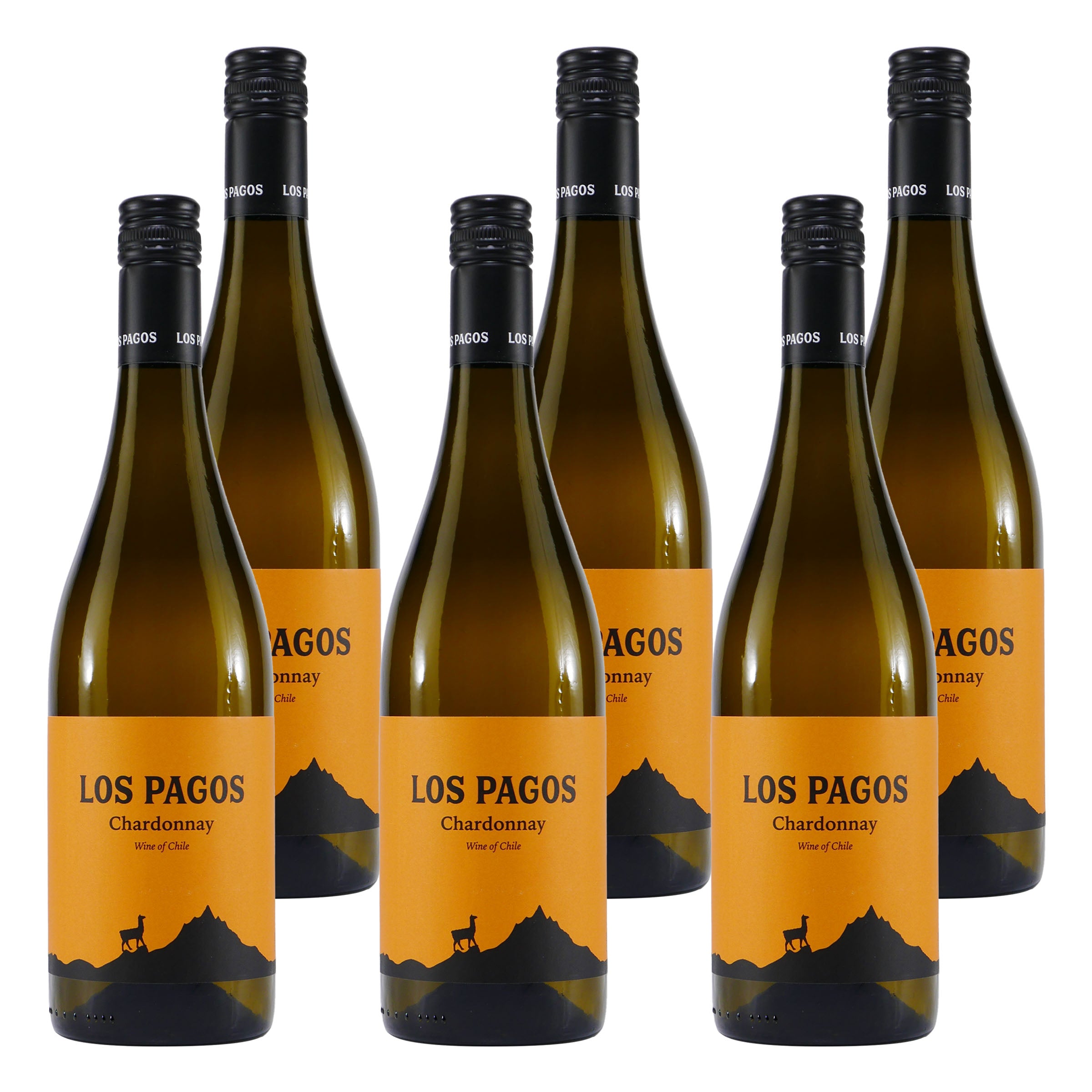 Los Pagos Chardonnay Weißwein -trocken- (6 x 0,75L)