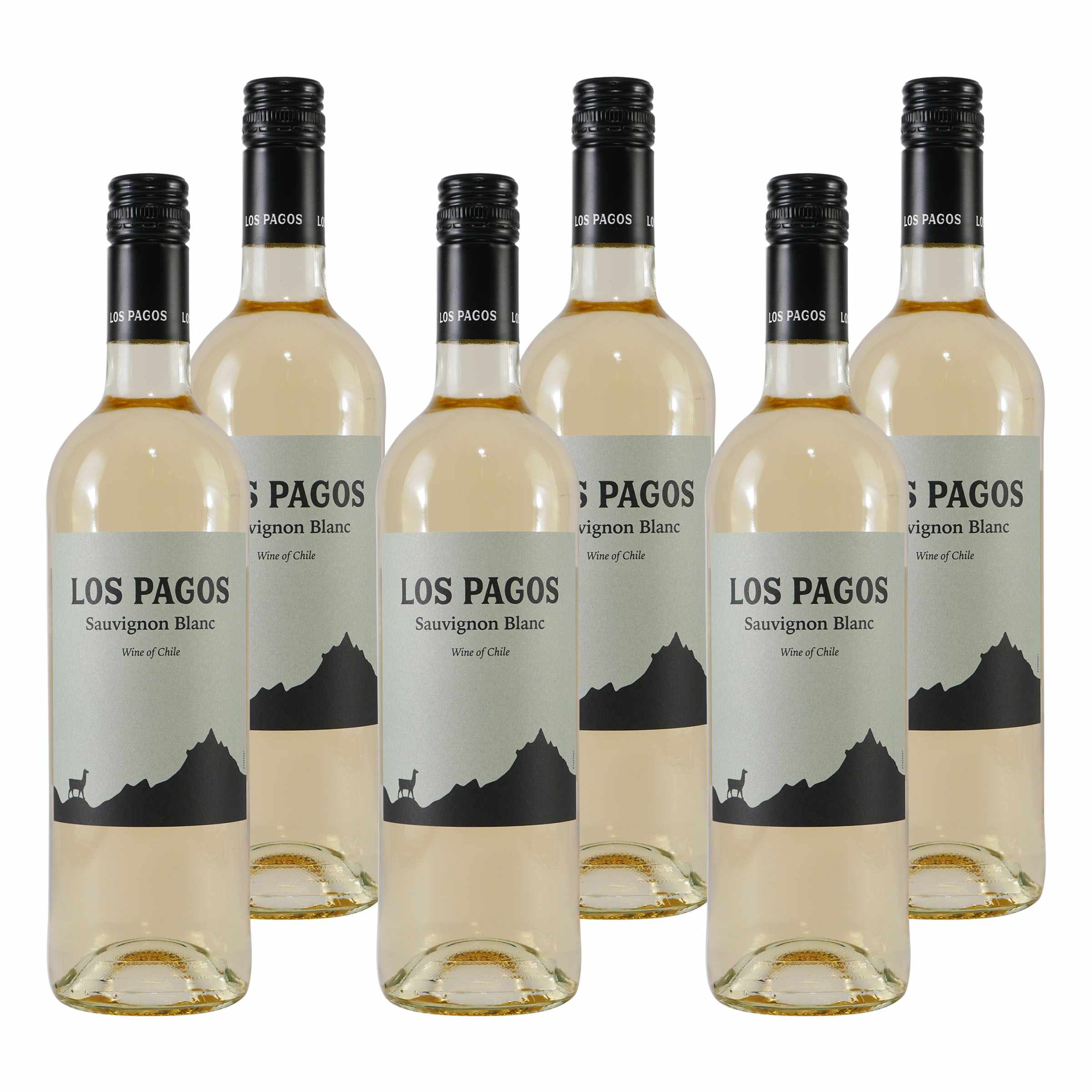 Los Pagos Sauvignon Blanc -trocken- (6 x 0,75L)