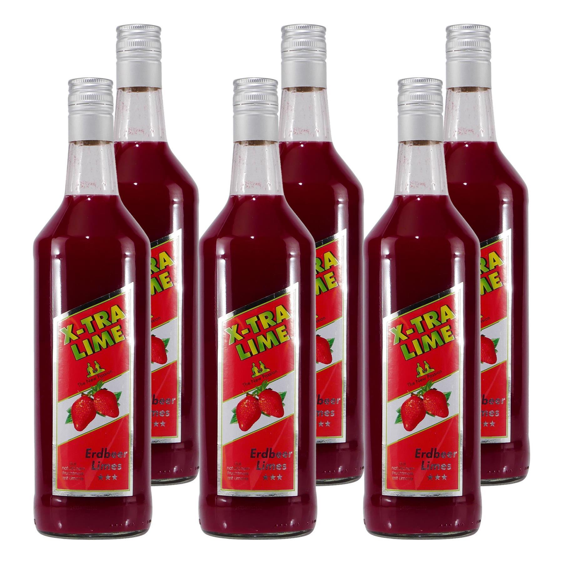 Rauter X-TRA Erdbeere-Limes (6 x 1,0L)
