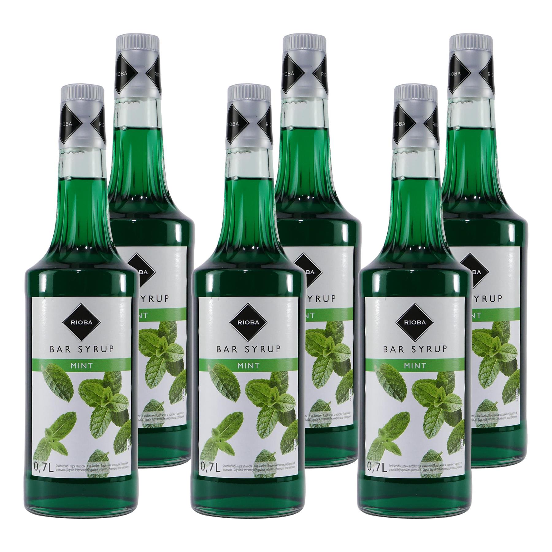Rioba Mint (Minze) Bar-Syrup (6 x 0,7L)