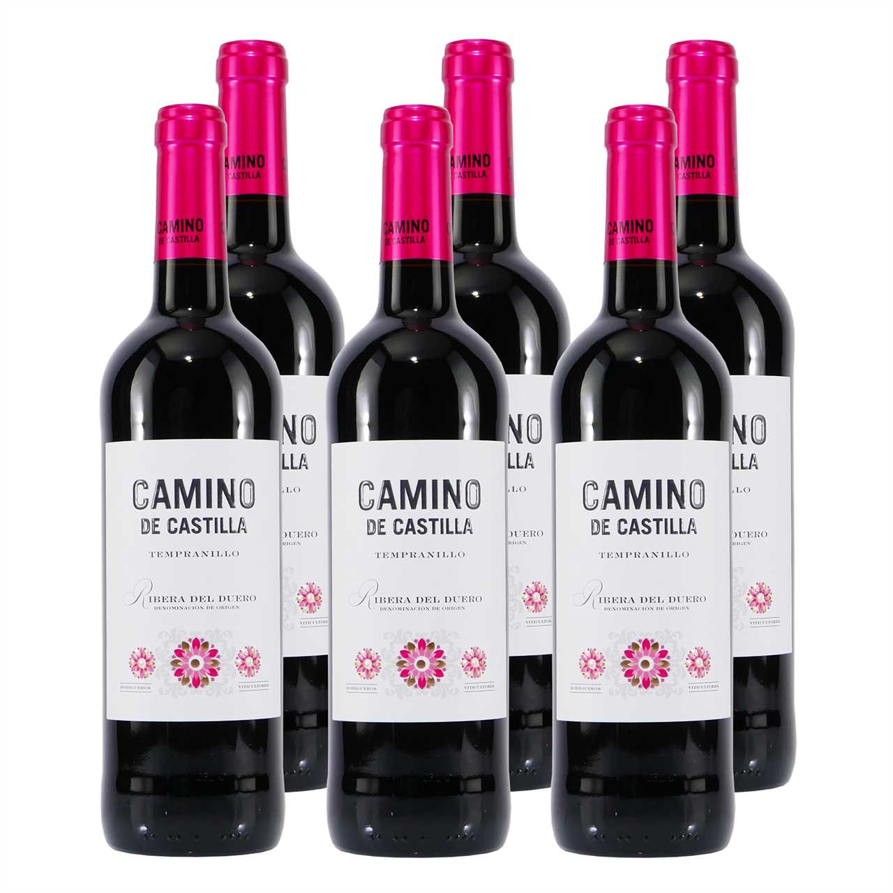Camino De Castilla Tempranillo D.O. -trocken- (6 x 0,75L)