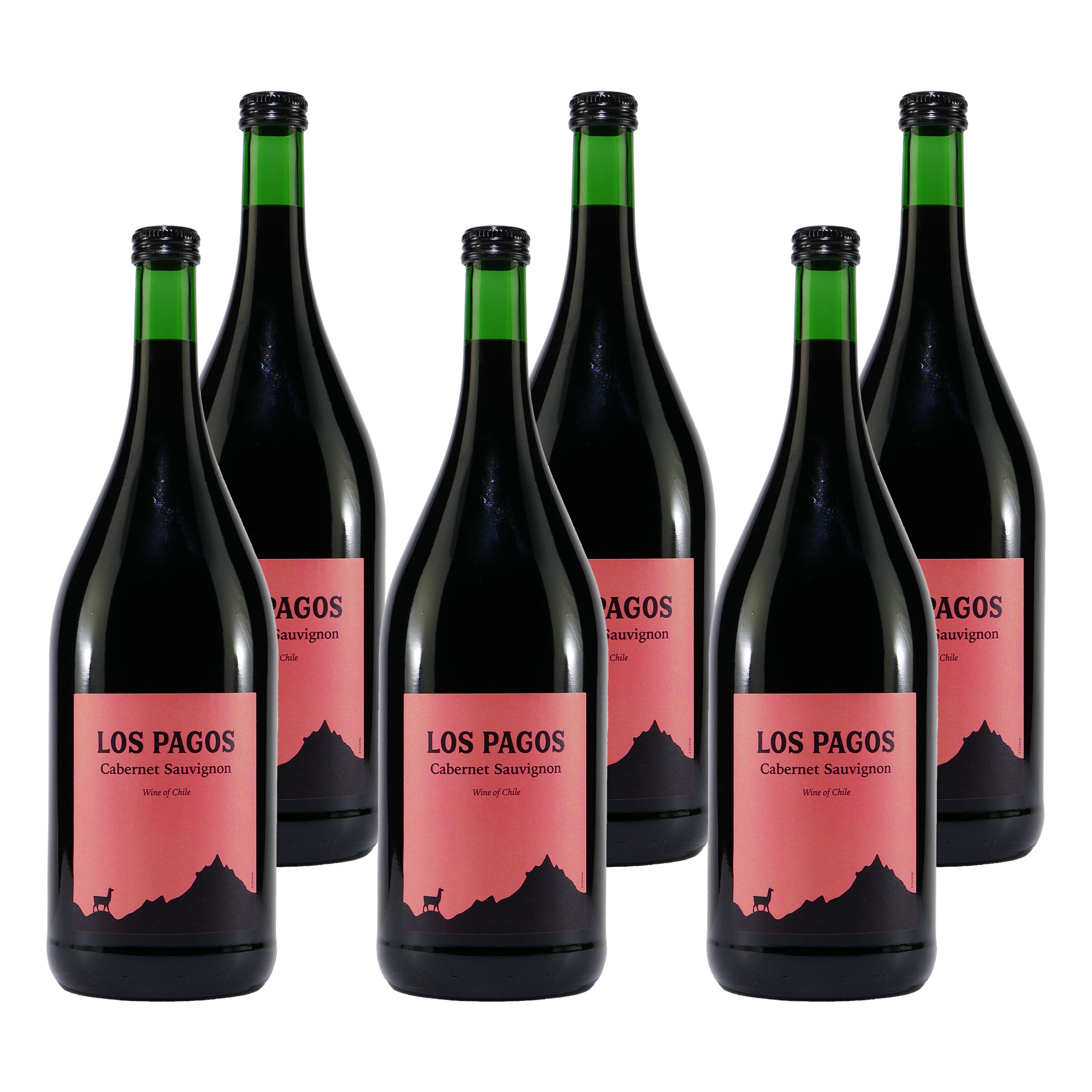 Los Pagos Cabernet Sauvignon (6 x 1,5L)
