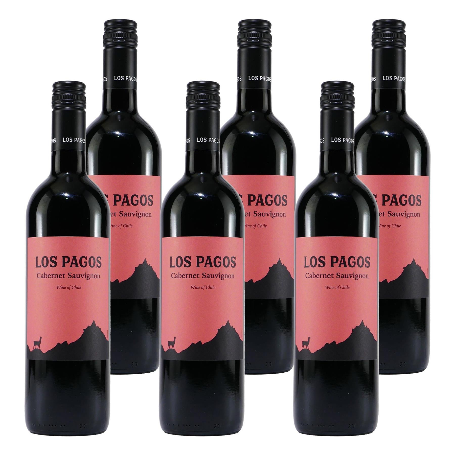 Los Pagos Cabernet Sauvignon Rotwein (6 x 0,75L)