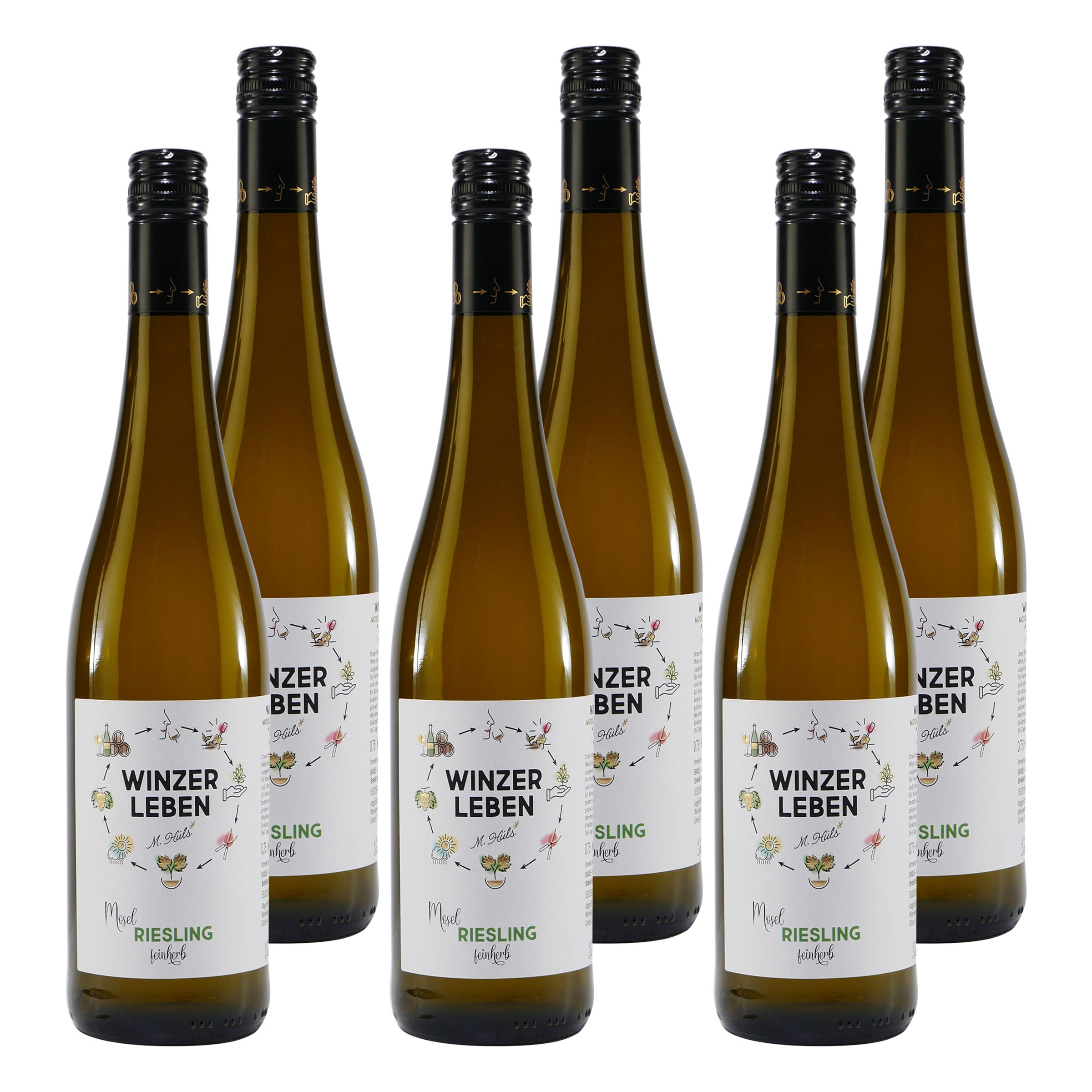 Winzerleben Riesling -feinherb- (6 x 0,75L)